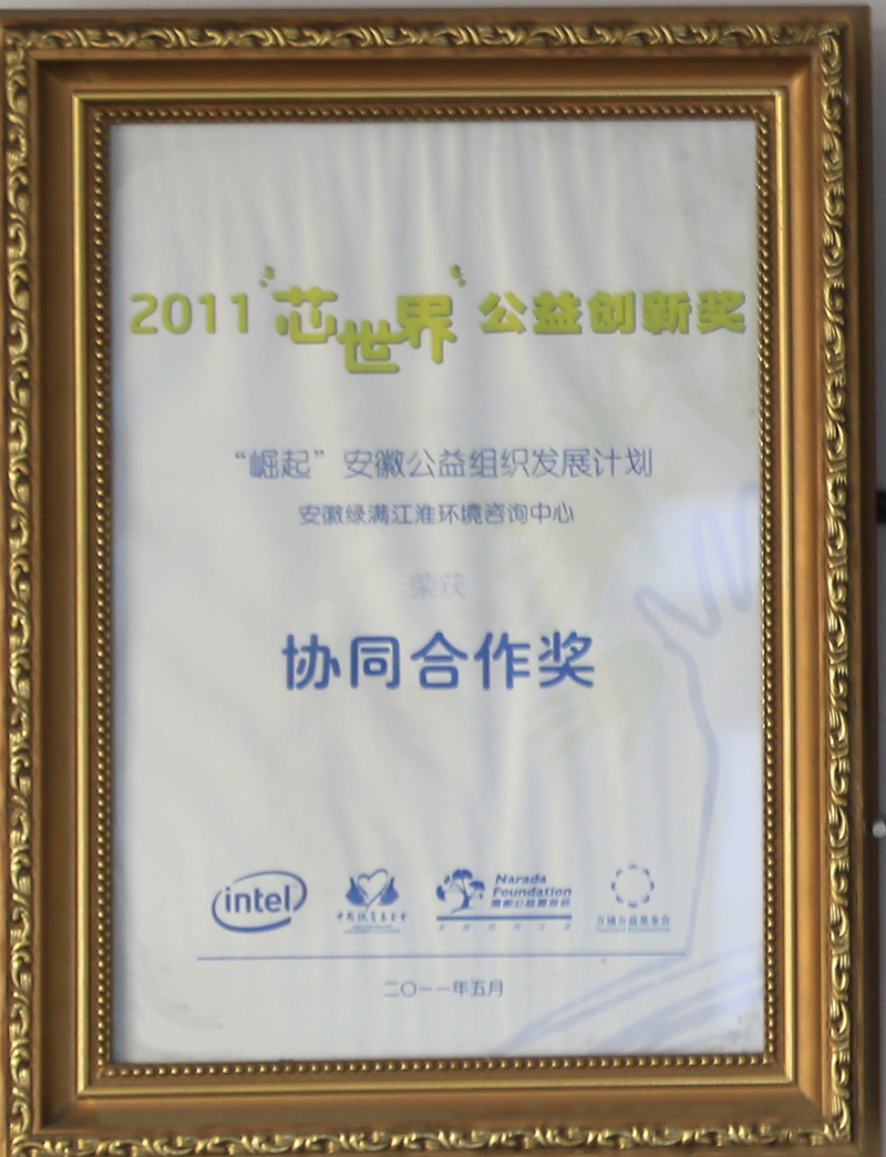 2011年“芯”世界协同合作奖